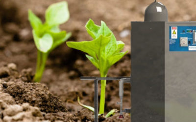 Generador de ozono en agricultura